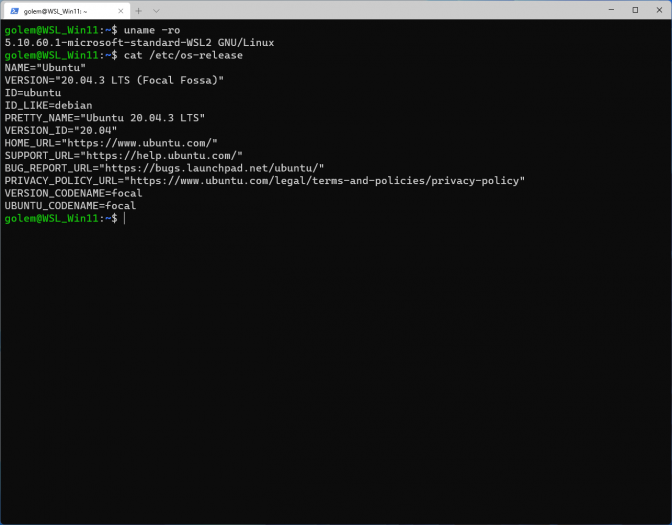 Das von uns genutzte Ubuntu 20.04 verwendet Microsofts Linux-Kernel.(Bild: Screenshot Golem.de)